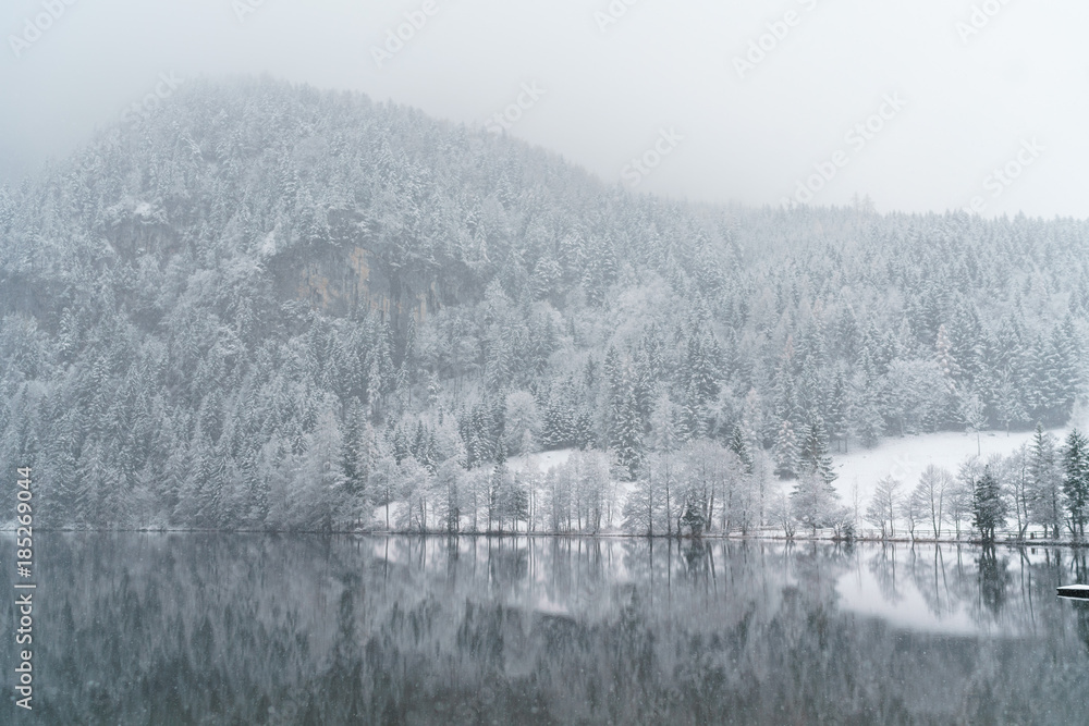 Winter landscape at a lake in Austria