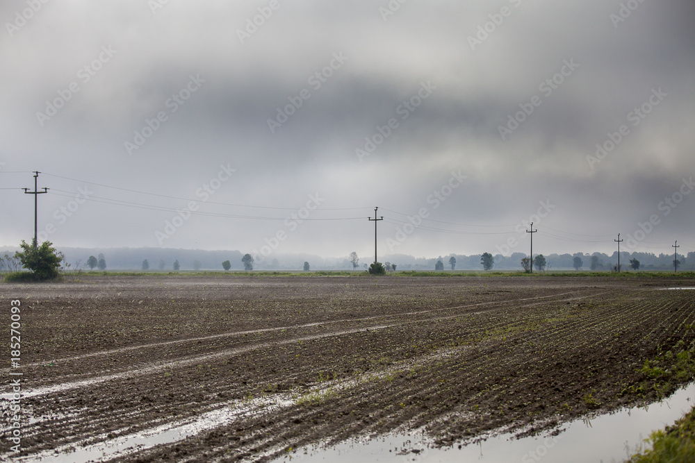 Fog over wet field of Lonjsko Polje natural park with silhouette of old electric pole and wire, Croatia