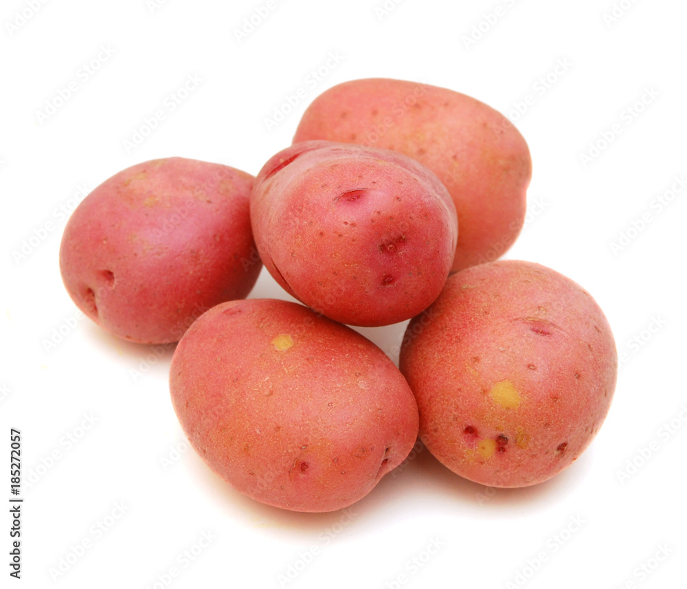 Red Potato with white background Red Potato with white background