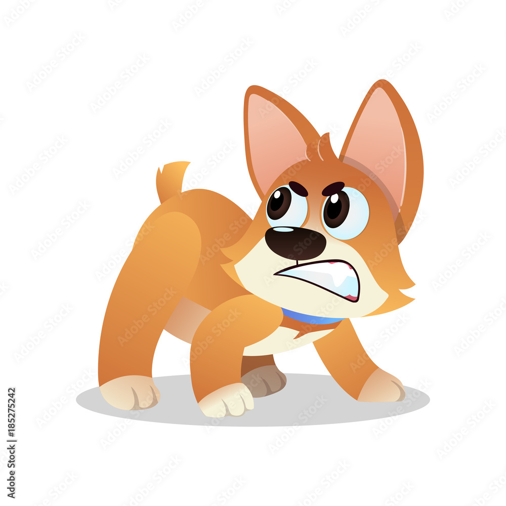Angry little corgi growling and showing his teeth. Cartoon dog character  standing in aggressive pose. Domestic animal. Flat vector illustration  Stock Vector | Adobe Stock