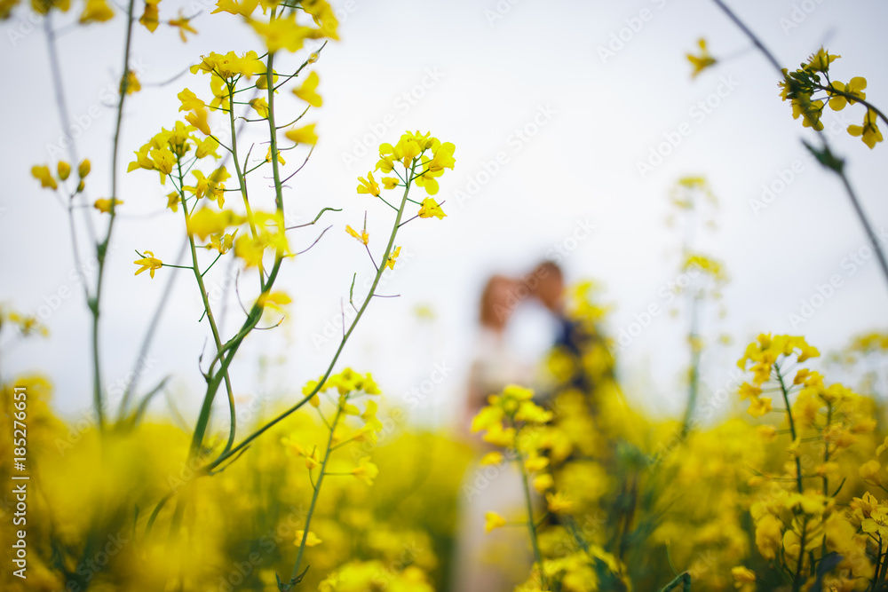  two in a field with yellow flowers