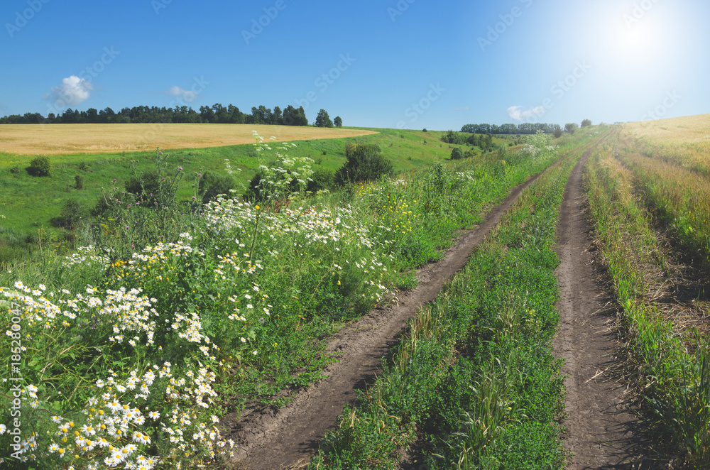 Sunny summer landscape with dirt rural road