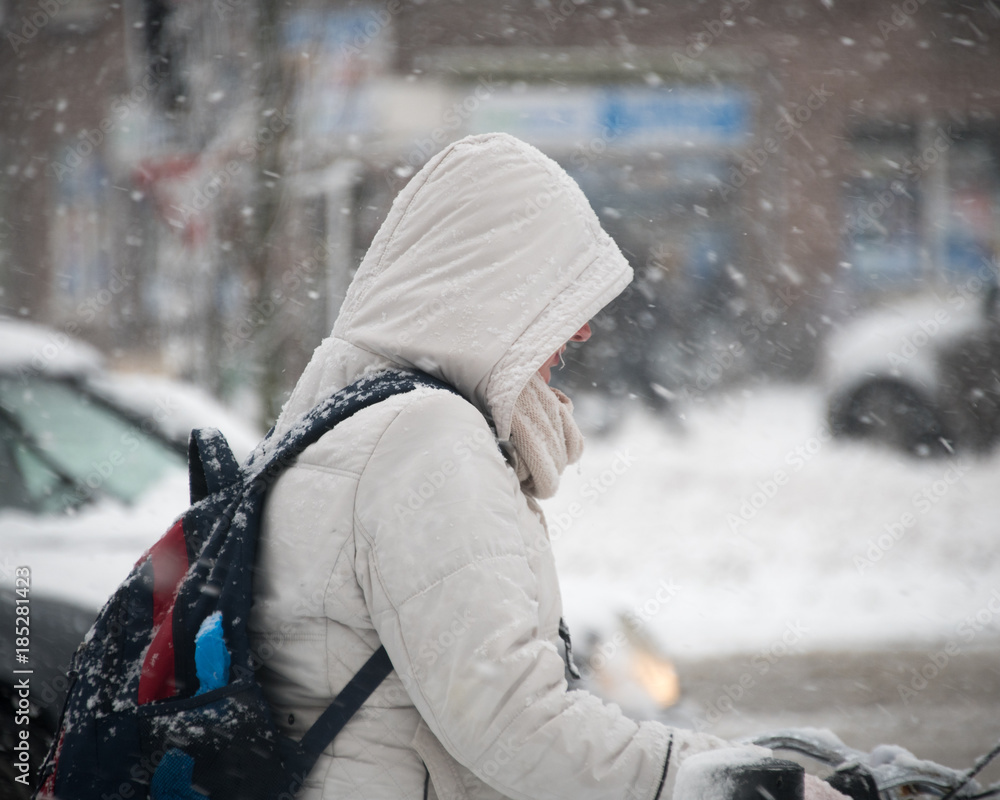 snowfall snowfall