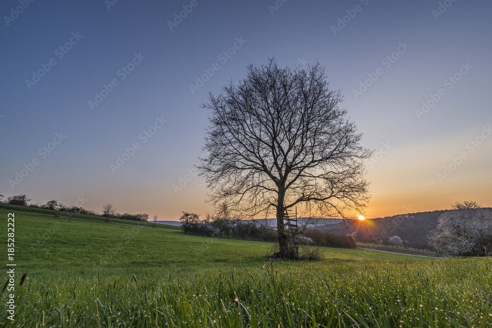 Fototapeta premium Morgenrot