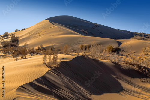 Singing barkhan in the morning autumn rays in the Altyn-Emel national park. Kazakhstan