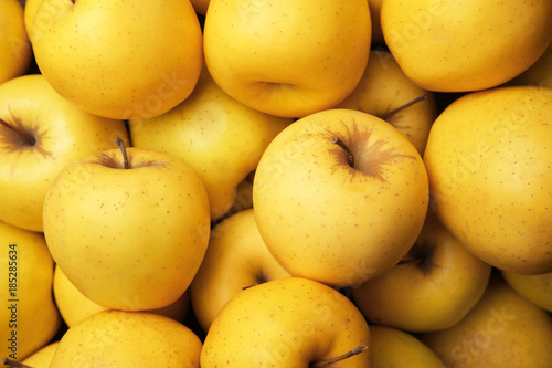 Ripe yellow apples, closeup photo