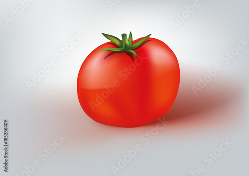 tomate - légume - alimentation - sauce tomate - illustration -  nourriture - rouge - santé - salade