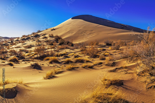 Singing barkhan in the morning autumn rays in the Altyn-Emel national park. Kazakhstan
