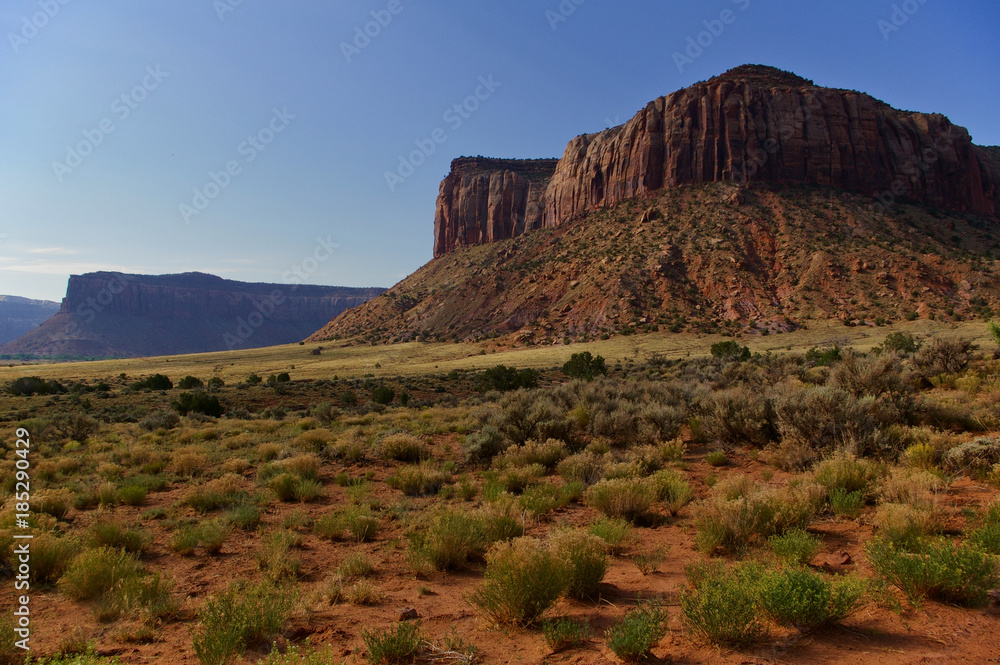 Huge mesa in the early morning light with desert plants in the foreground
