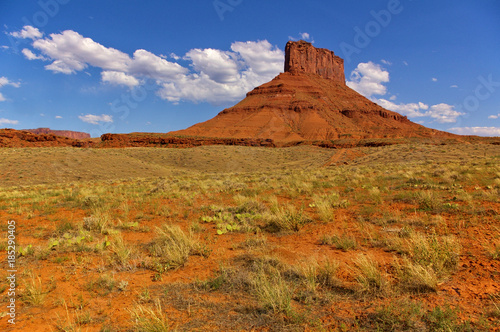 Tall red mesa with desert plants in the foreground and blue sky, Utah, USA