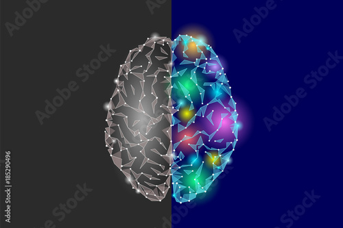 Creative and logic part brain. Analytics constructive artistic imagination hemisphere side mind function. Low poly polygonal point line bright blue gray abstract geometric vector illustration