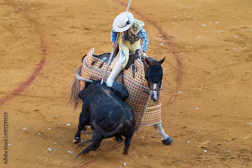 Picador a cavallo attacca toro