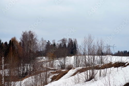 Spring landscape. Melt the white snow. The turn of a dirt road on the edge of the forest © Kirill
