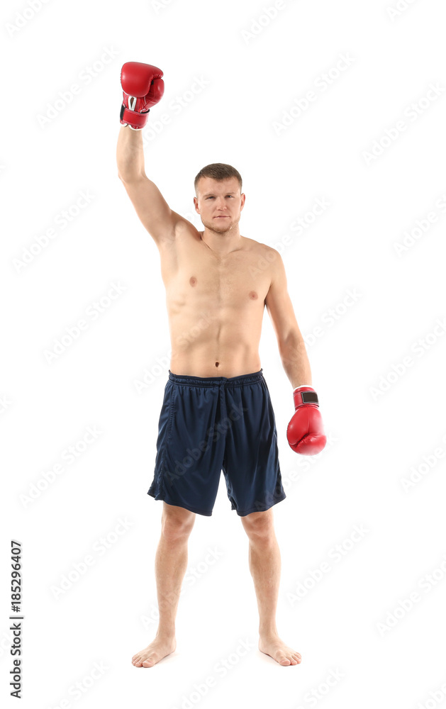 Attractive young boxer on white background Attractive young boxer on white background
