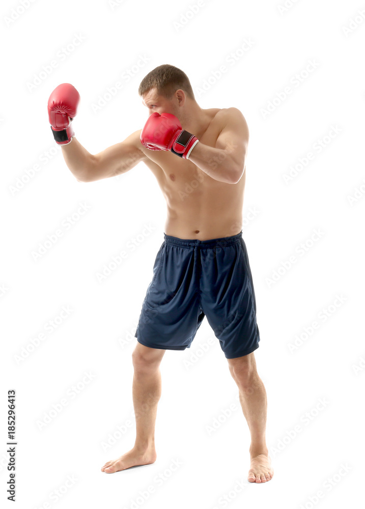 Attractive young boxer on white background Attractive young boxer on white background