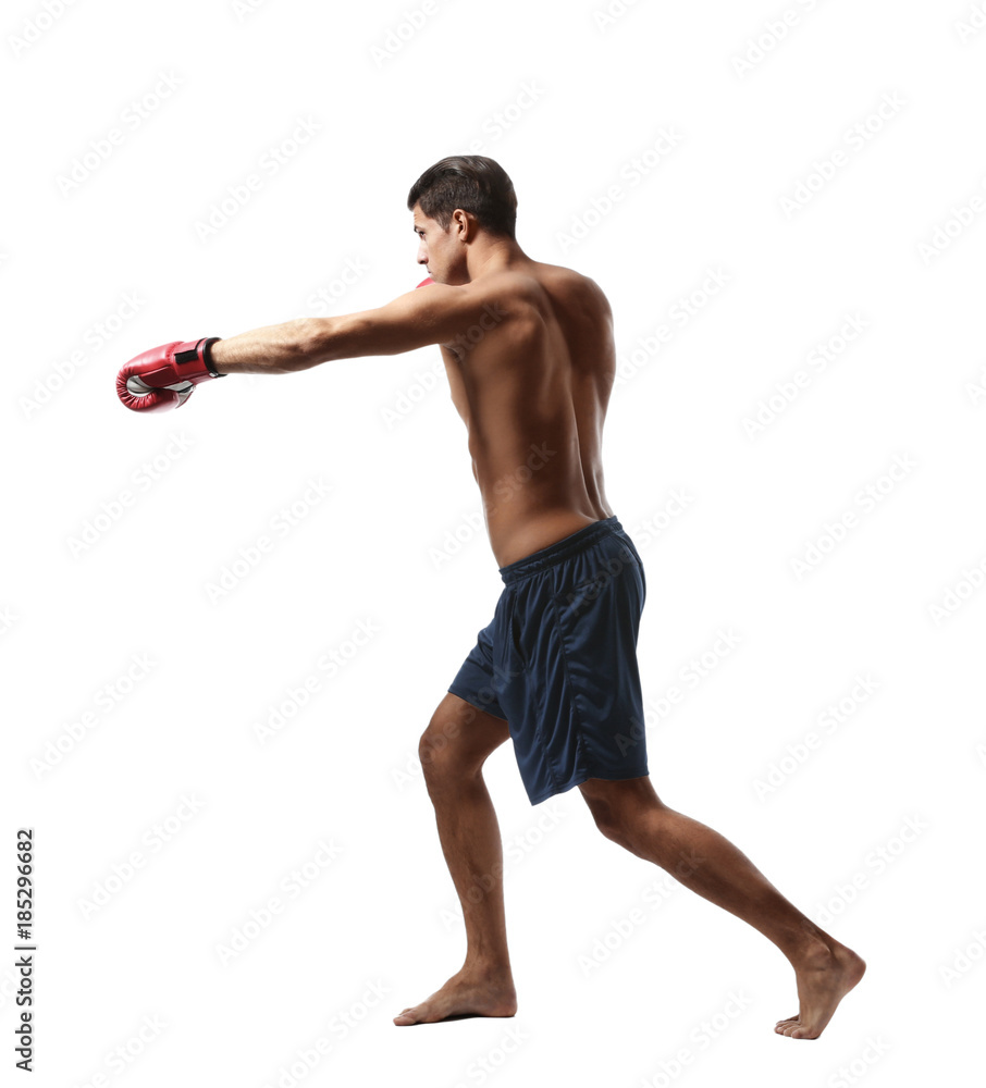 Attractive young boxer on white background Attractive young boxer on white background