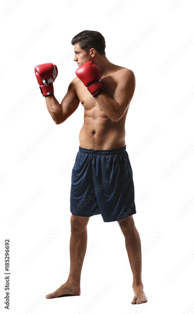 Attractive young boxer on white background Attractive young boxer on white background
