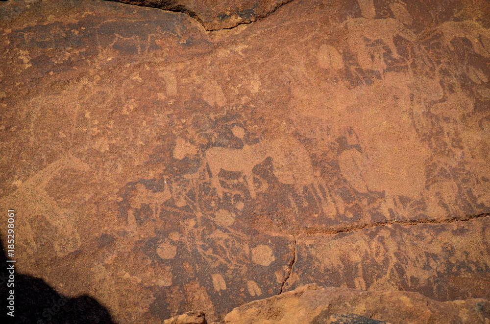 Rock Art near Twyfelfontein