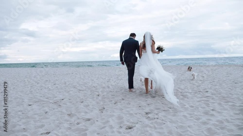 the bride and groom go in wedding dresses on a beautiful beach with their dogs. wedding on the sea