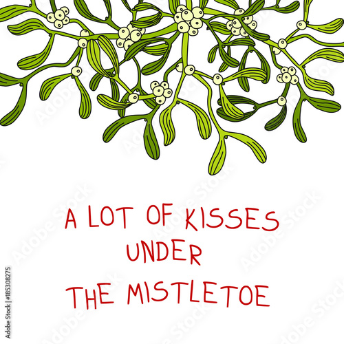 mistletoe photo