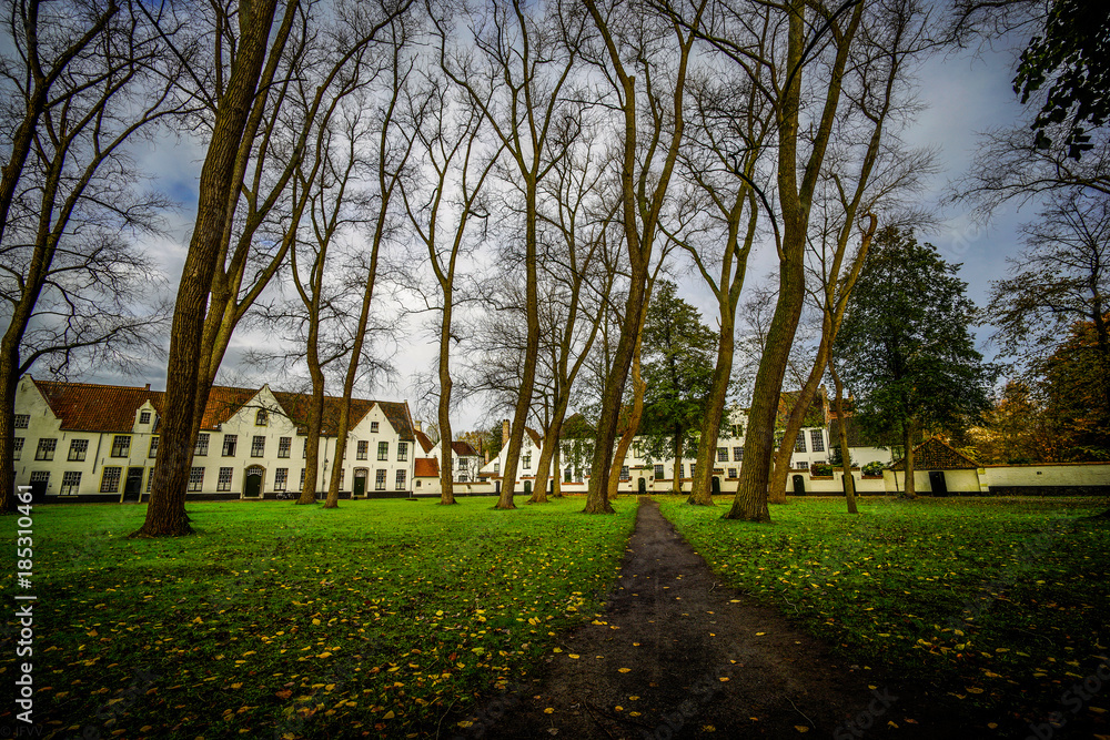 Tree Lined Tree Lined