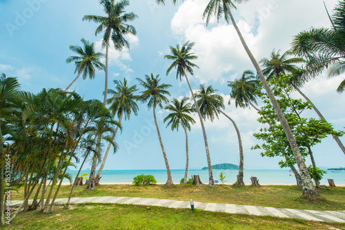 Beautiful exotic beach with coconut tree palm located Koh Kood Island, Thailand