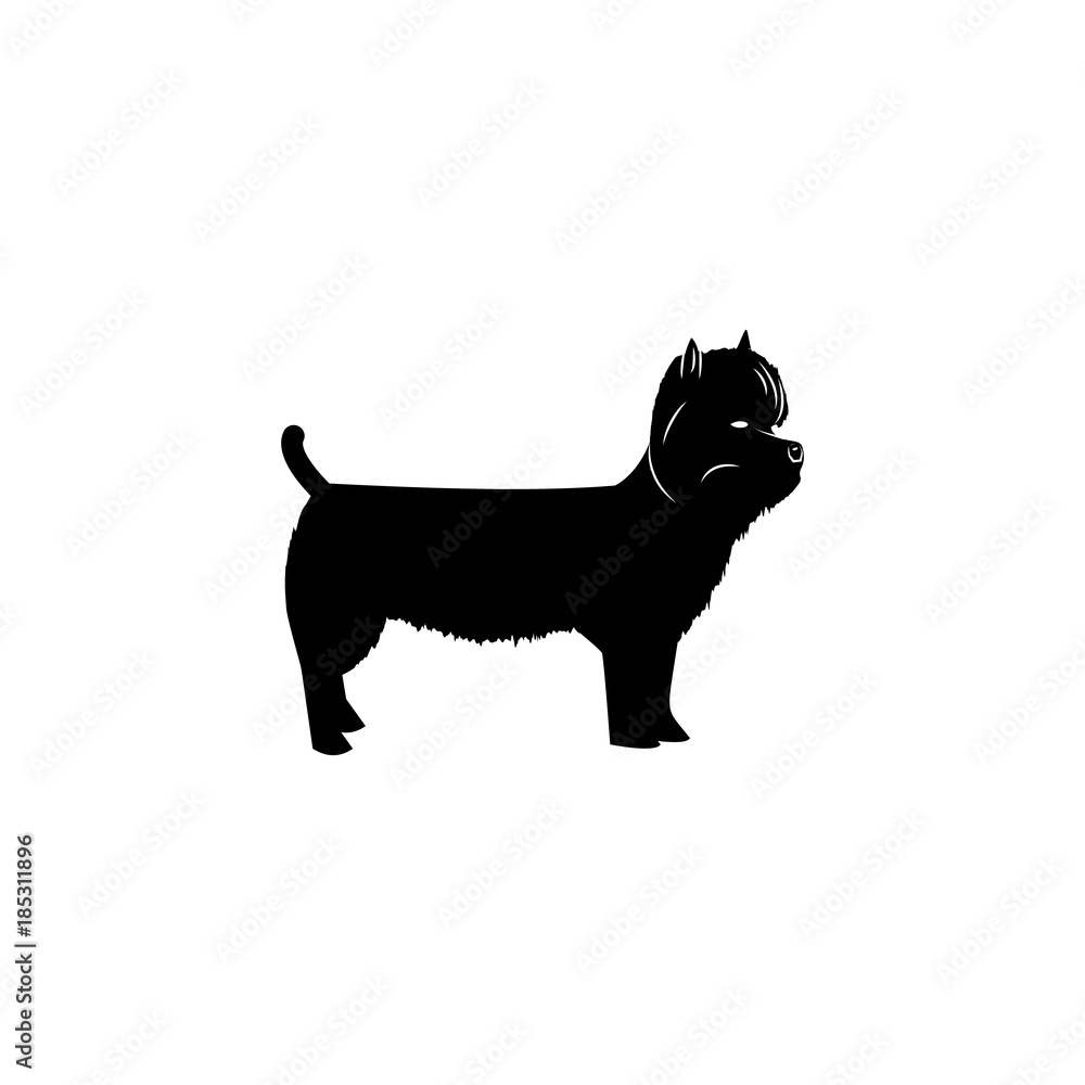 West Highland Terrier icon. Popular Breed of dogs element icon. Premium quality graphic design icon. Dog Signs and symbols collection icon for websites, web design, mobile app West Highland Terrier icon. Popular Breed of dogs element icon. Premium quality graphic design icon. Dog Signs and symbols collection icon for websites, web design, mobile app