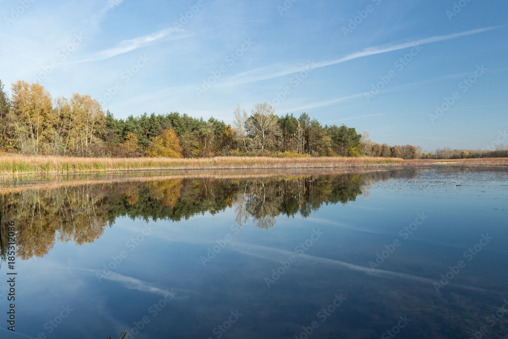 Lake in the depths of the forest, autumn reflection