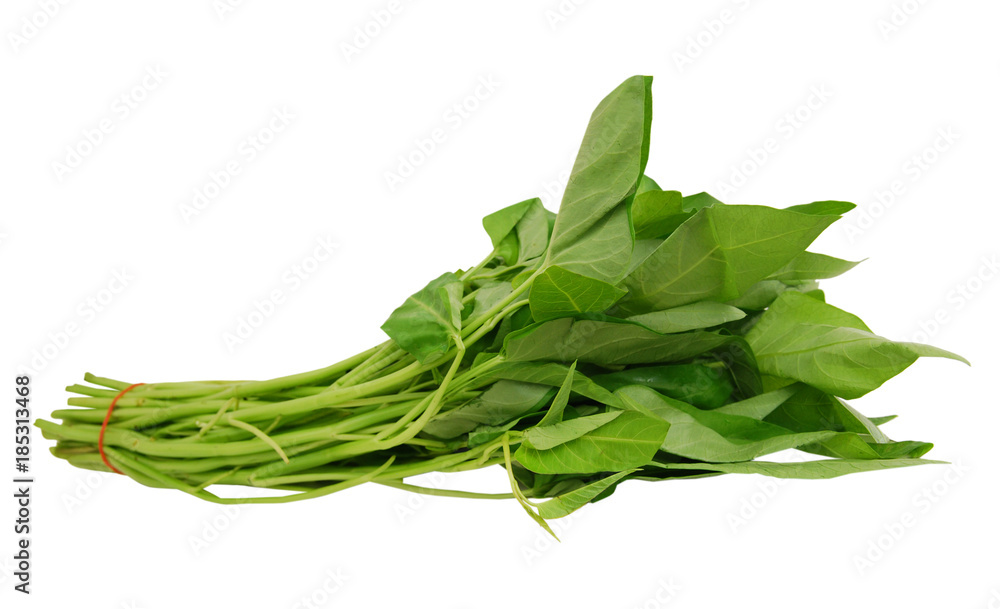 Bundle of Ipomoea Aquatica leaves isolated on white background Bundle of Ipomoea Aquatica leaves isolated on white background