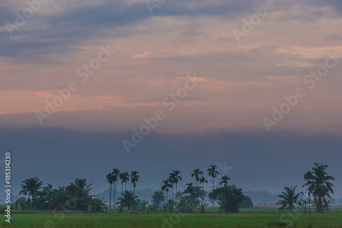 The typical scene of countryside in the early morning
