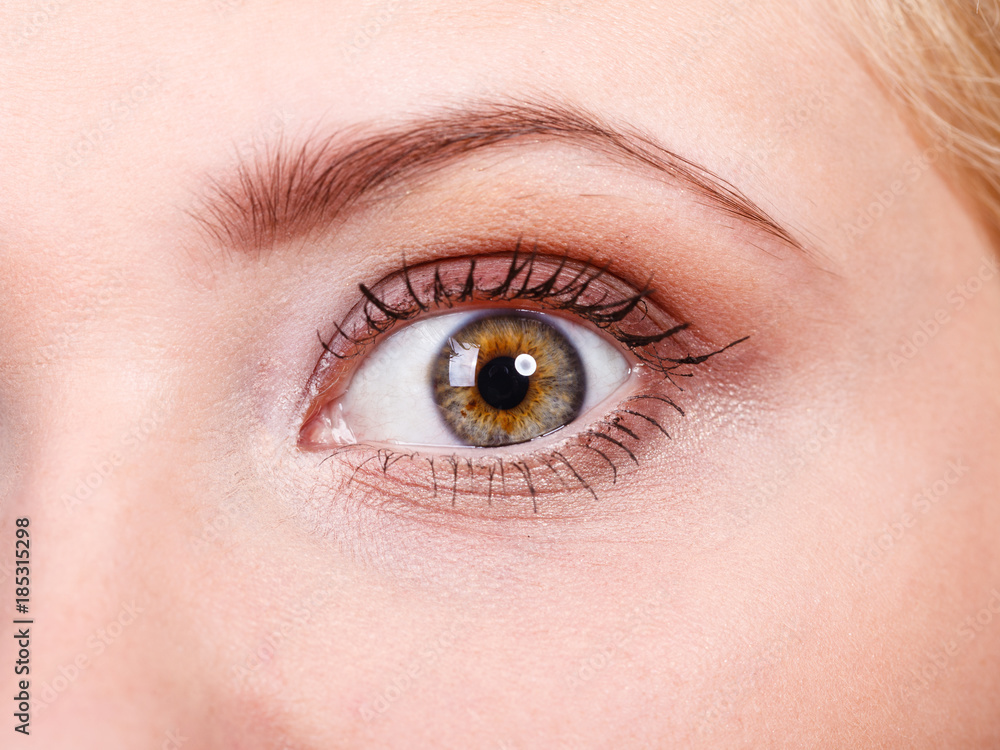 Detailed closeup of woman colorful eye Detailed closeup of woman colorful eye