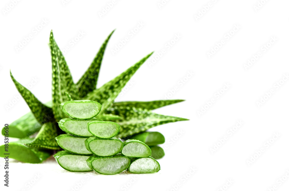 Slice Aloe Vera, a very useful herbal medicine for skin care and hair care. Slice Aloe Vera, a very useful herbal medicine for skin care and hair care.