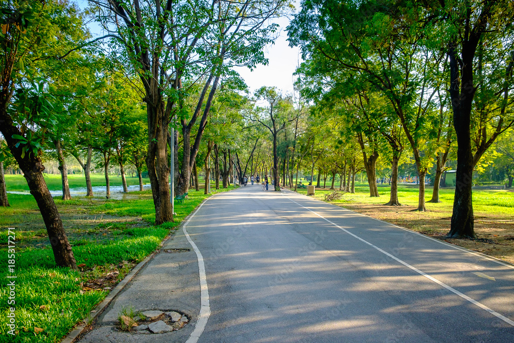City park at Vachira Benchathat Park (Rot Fai Park)