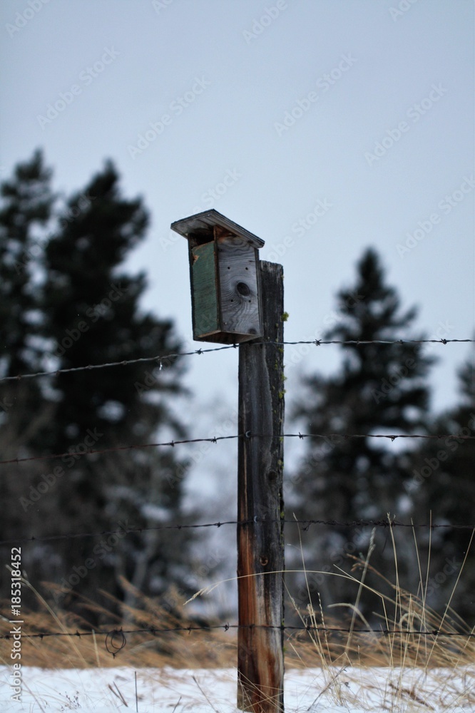 Birdhouse on a barbed wire fence in winter