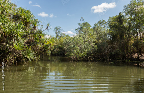 Yellow Water Wetlands, Kakadu National Park, Northern Territory, Australia