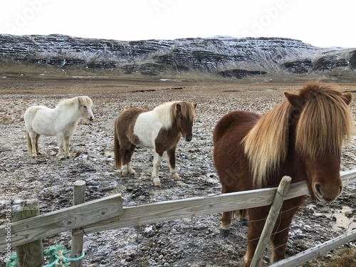 Fototapeta Naklejka Na Ścianę i Meble -  Iceland 