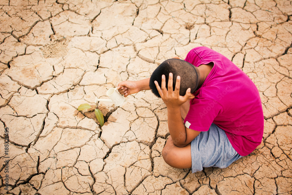 Boy watering little green plant on crack dry ground, concept drought and save the world Boy watering little green plant on crack dry ground, concept drought and save the world