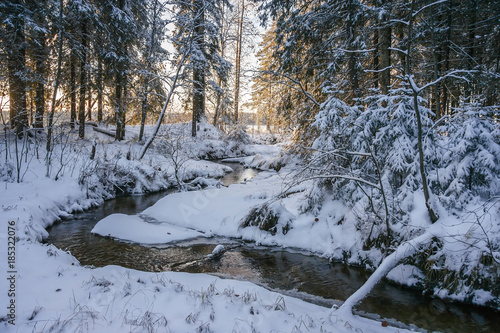 Creek in the winter forest