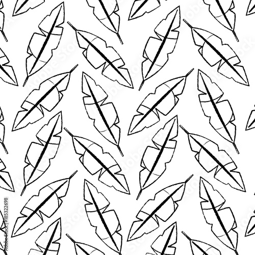 feathers tropical pattern image vector illustration design 