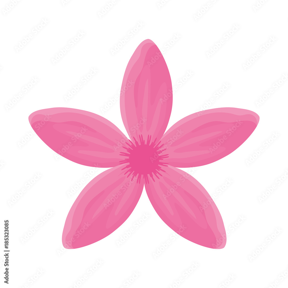 Naklejka premium flower with petals pink vector illustration