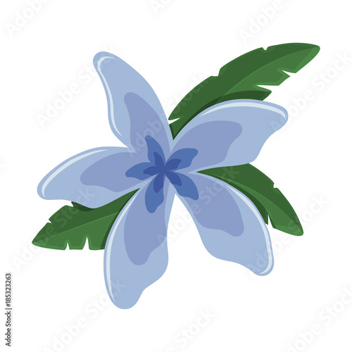  flower with petals blue  vector illustration