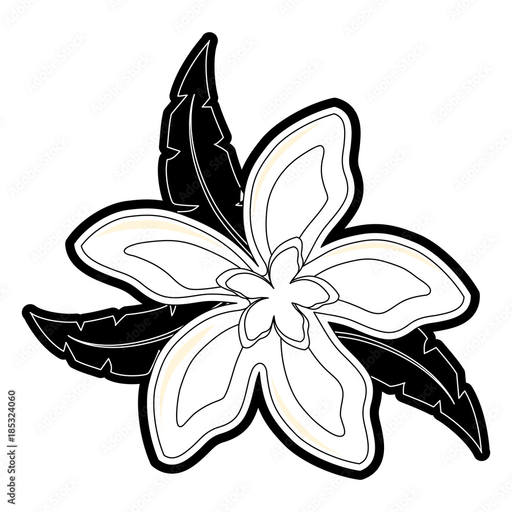 Fototapeta premium flower with leaves vector illustration