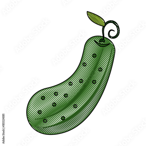 Pickle vegetable isolated