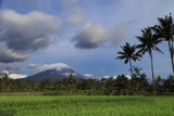Merapi volcano landscape, Java, Indonesia. View of Merapi volcano