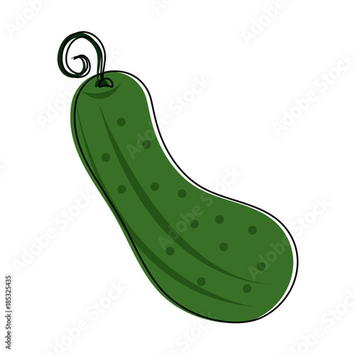 Pickle vegetable isolated