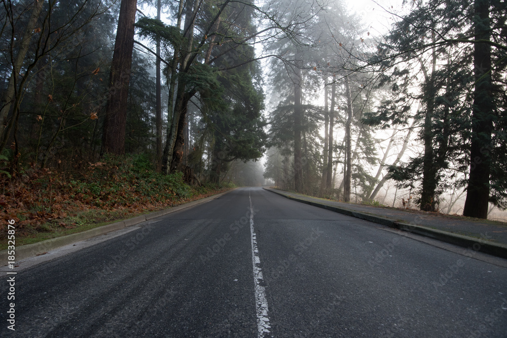 morning mist in stanley park vancouver morning mist in stanley park vancouver