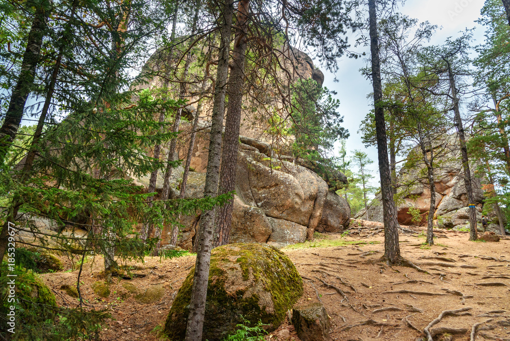 Fototapeta premium Column Feathers. Russian reserve Stolby Nature Sanctuary. Near Krasnoyarsk