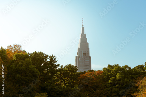 Tall skyscraper seen from a garden in Tokyo, Japan