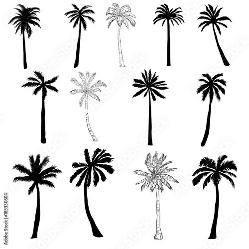 Vector palm tree silhouette icons on white background.