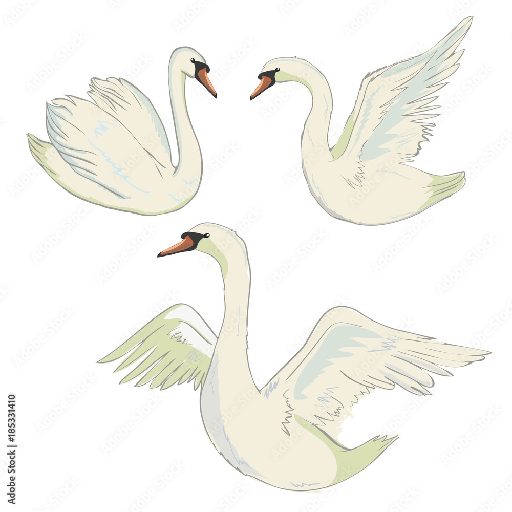 Obraz premium Swan symbol set